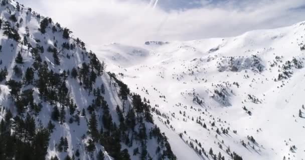Karpat Dağları Havadan Ukrayna Kış Kar Yağıyor Güneşli Bir Gün — Stok video