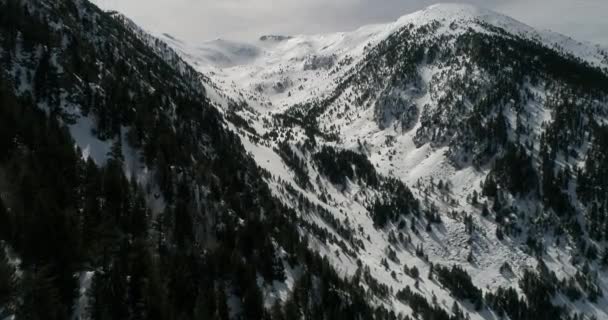 Karpackie Góry Powietrza Ukraina Zimą Śnieg Słoneczny Dzień — Wideo stockowe