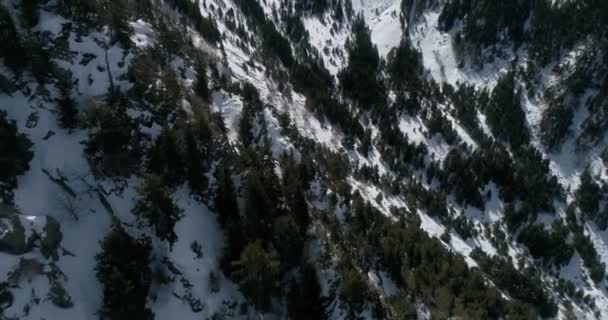 Karpat Dağları Havadan Ukrayna Kış Kar Yağıyor Güneşli Bir Gün — Stok video