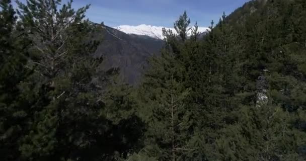 Andorra Dağlarının Hava Manzarası Funicamp Encamp Andorra Vella Andorra Vieja — Stok video