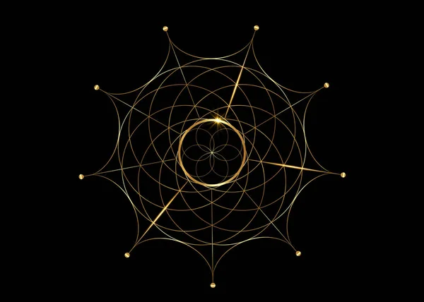 ゴールド神聖な幾何学 生命のシンボルの種 ロゴアイコン錬金術の幾何学的神秘的な曼荼羅生命の花 黒の背景に隔離されたベクトル黄金のラインアートタトゥー神の瞑想のお守り — ストックベクタ