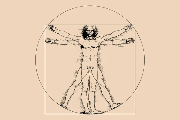 Vitruvian Man Vele Leonardo Vinci Vektor Illusztráció Elszigetelt Régi Háttér — Stock Vector