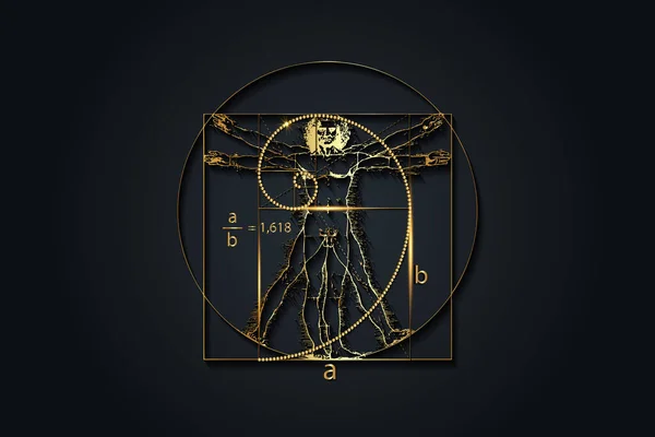 Zlatý Poměr Fibonacci Pořadové Číslo Vitruvian Man Leonarda Vinciho Luxusní — Stockový vektor