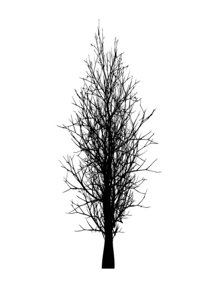Abgestorbene Bäume Isoliert Auf Weißem Hintergrund Schwarze Silhouette Eines Trockenen — Stockvektor