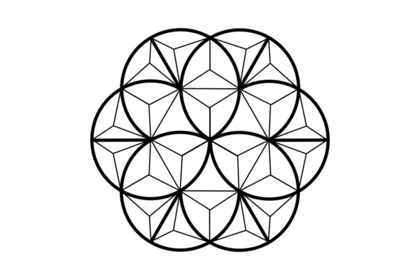 Květ Života Posvátná Geometrie Lotosový Květ Mandala Ornament Polygonálním Drátěném — Stockový vektor