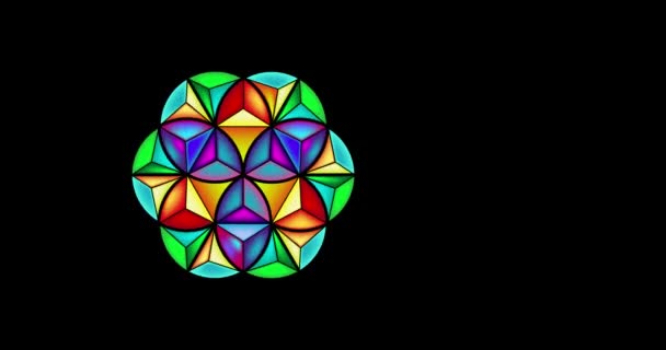Animacja Wideo Kwiat Życia Święta Geometria Kwiat Lotosu Ruchu Kolorowa — Wideo stockowe