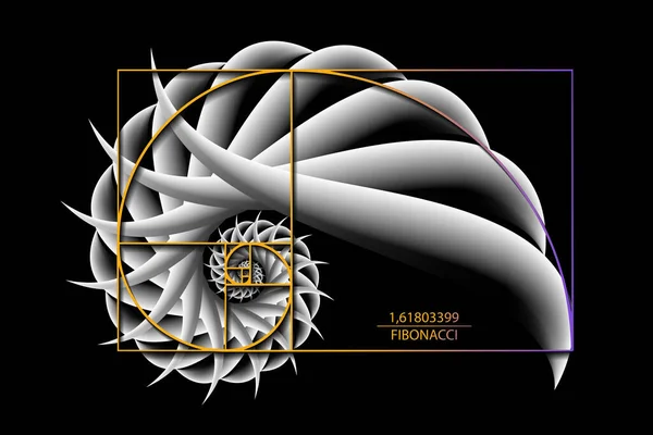 Fibonacci Sequence Goldener Schnitt Geometrische Formen Spiralförmig Schneckenspirale Muschel Aus — Stockvektor