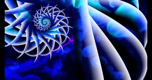 Nagranie Muszli Nautilusa Fibonacciego Wirujące Sekwencje Liczb Złotych Geometryczna Spiralna — Wideo stockowe