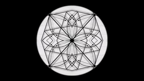 Fiore Della Vita Geometria Sacra Sovrapposta Sullo Sfondo Del Cerchio — Video Stock