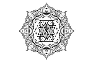 Kutsal Lotus Yantra Mandala, Hayatın Mistik Çiçeği. Kutsal geometri, vektör logosu grafik elementi izole edildi. Hayatın mistik ikonu, geometrik çizim işareti, beyaz arkaplanda ezoterik nilüfer çiçeği