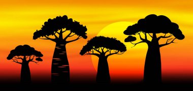 Afrika 'da günbatımı, savana manzarası. Baobab ağaçları silueti. Doğa, egzotik bitki, Afrika bayrak taşıyıcı illüstrasyon