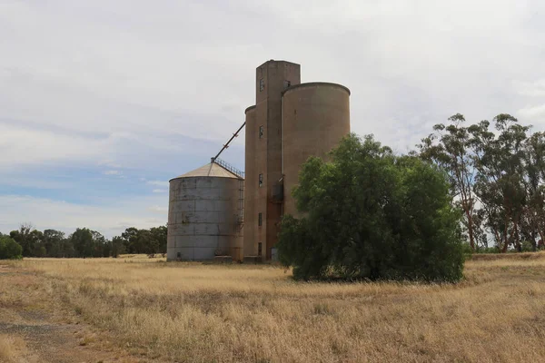 Abandoned Steel Concrete Grain Silo Towers Rochester Dingee Rural Australia — Stock Photo, Image