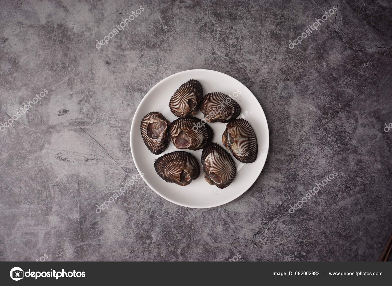 Korean Sea Cockles Blood Cockles Fragile Shells Appearing Broken Stock