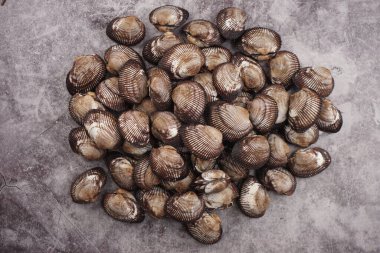 Büyük boy Kore deniz kabukları ve kan midyelerinin fotoğrafını çekiyorum.