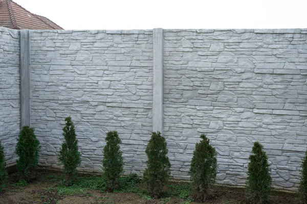 Concrete Decorative Fence Small Green Thuja — Foto Stock