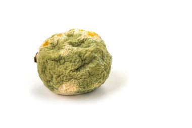 Beyaz arka planda küflü çürük limon.