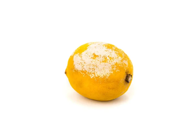 Limone Marcio Con Uno Stampo Sfondo Bianco — Foto Stock