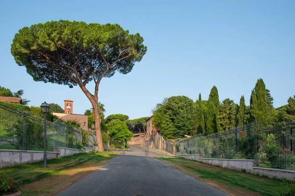Estrada Verde Antiga Cidade Histórica Roma Com Pinheiros — Fotografia de Stock