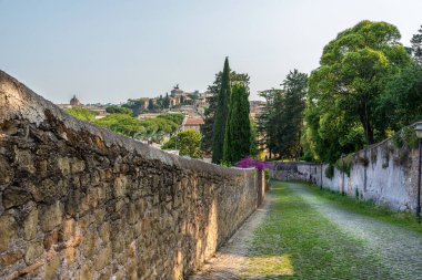 Anavatan Roma, İtalya 'da panoramik manzara. Çam ağaçları ve çiçekli dar yeşil cadde
