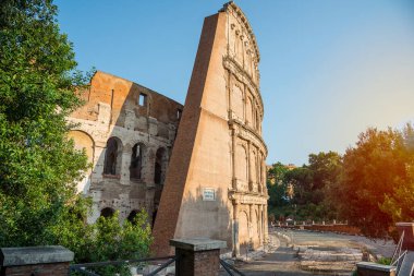 Antik Kolezyum 'da sabah Roma, İtalya' da yeşil ağaçlar vardı.