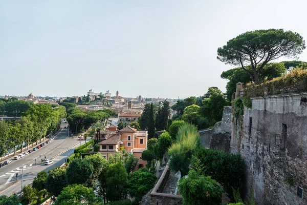 Πανοραμική Θέα Στην Πατρίδα Ρώμη Ιταλία Πεύκα — Φωτογραφία Αρχείου