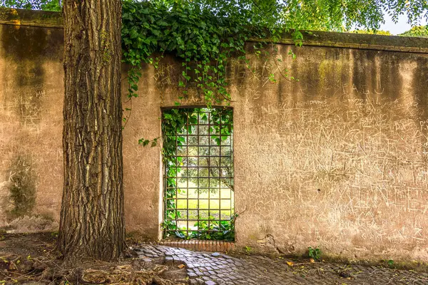 Дерево Старая Стена Бетонный Забор Письмом Начале Утра Риме — стоковое фото
