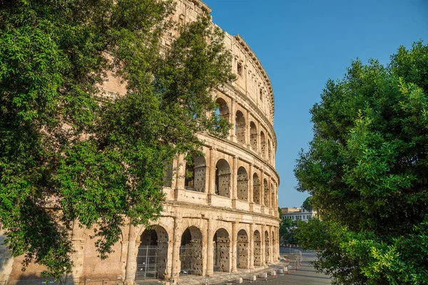 Antiguo Coliseo Con Árboles Verdes Los Lados Roma Italia Por — Foto de Stock