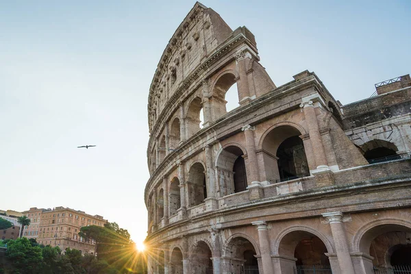 Detalle Del Antiguo Coliseo Roma Italia Por Mañana — Foto de Stock