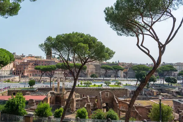 Ρωμαϊκό Φόρουμ Και Curia Julia Στη Ρώμη Ιταλία — Φωτογραφία Αρχείου