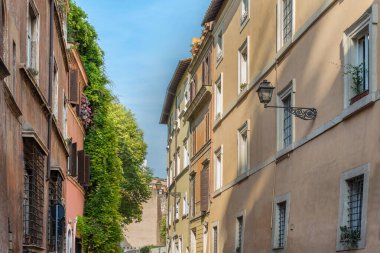 Bitkiler ve çiçeklerle dolu dar İtalyan caddesi