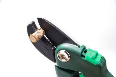 Ağaç brunch 'ları için Bahçe Ağır Görev Makası