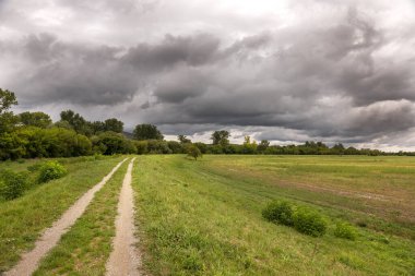 Çayırlar, ağaçlar ve çalılar dramatik fırtınalı bir gökyüzü. İklim değişikliği kavramı.