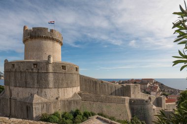 Dubrovnik eski şehir surları Ağaçlar ve yeşil çalılar