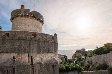 Dubrovnik eski şehir surları Ağaçlar ve yeşil çalılar