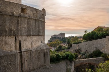 Dubrovnik eski şehir surları Ağaçlar ve yeşil çalılar