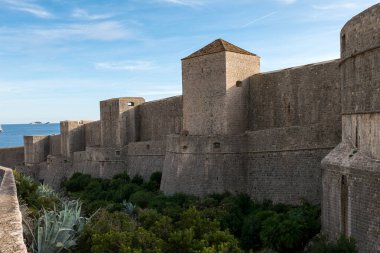 Dubrovnik eski şehir surları Ağaçlar ve yeşil çalılar