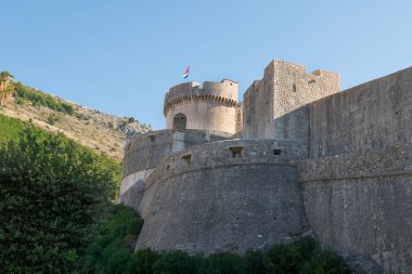 Dubrovnik eski şehir surları Ağaçlar ve yeşil çalılar