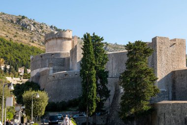 Dubrovnik eski şehir surları Ağaçlar ve yeşil çalılar