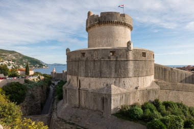 Dubrovnik eski şehir surları Ağaçlar ve yeşil çalılar