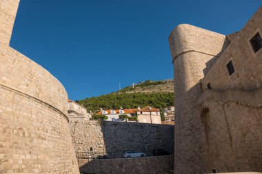 Dubrovnik eski şehir surları Ağaçlar ve yeşil çalılar