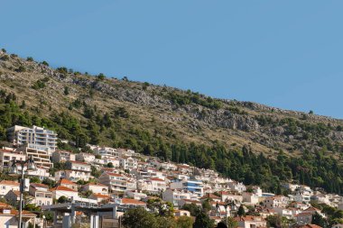 Dubrovnik mimarisi. Yeşil ağaçlı bir yerleşim yeri. Yokuştaki evler