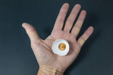 Para tasarrufu konsepti. Palmiyedeki yumurta kabuklarındaki madeni para.