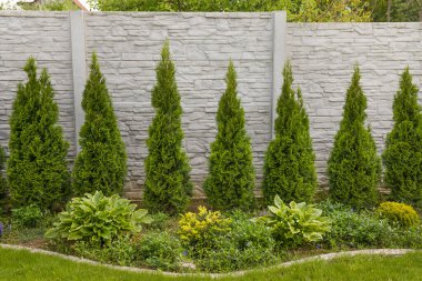 Baharda yeşil eşkıyalar ile dekoratif Beton Çit Panelleri