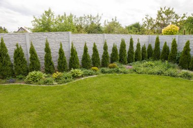 Baharda yeşil eşkıyalar ile dekoratif Beton Çit Panelleri