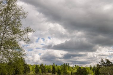 Baharda koyu gökyüzü, yeşil ağaçlar, kara bulutlar ve mavi gökyüzü.