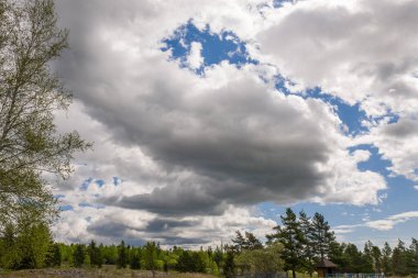 Baharda koyu gökyüzü, yeşil ağaçlar, kara bulutlar ve mavi gökyüzü.