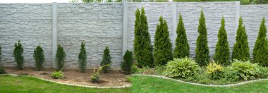 3 yıl sonra ukala haydutların büyümesi. Karşılaştırmalı fotoğraflar. Beton çit