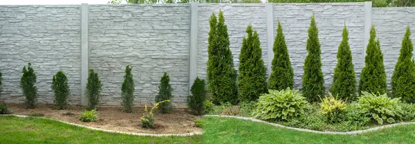 3 yıl sonra ukala haydutların büyümesi. Karşılaştırmalı fotoğraflar. Beton çit