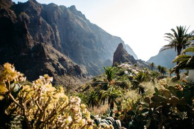 Tenerife, Masca valley. Mountains on Tenerife, Canary islans. Scenic mountain landscape.