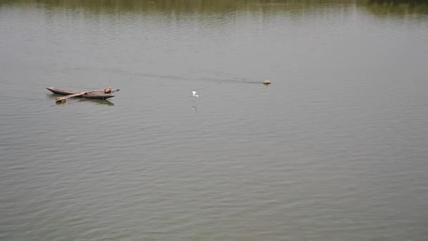 在塞内加尔Ziguinchor附近的卡萨芒斯河上路过一艘独木舟 — 图库视频影像